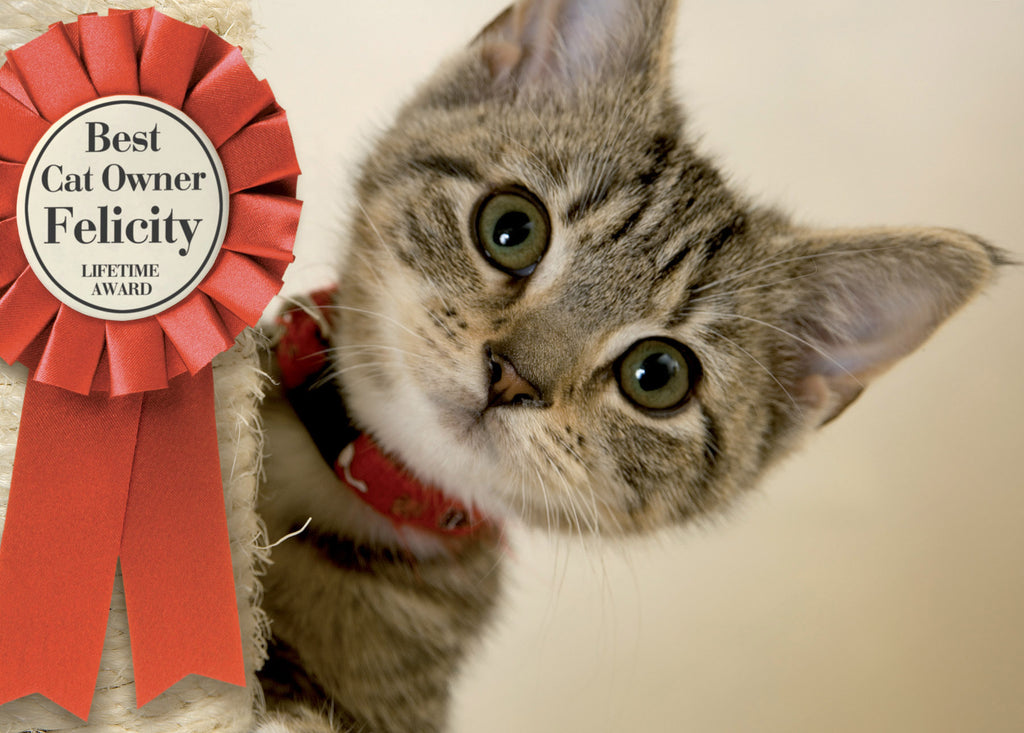 Best Cat Owner - A3 Un-Framed