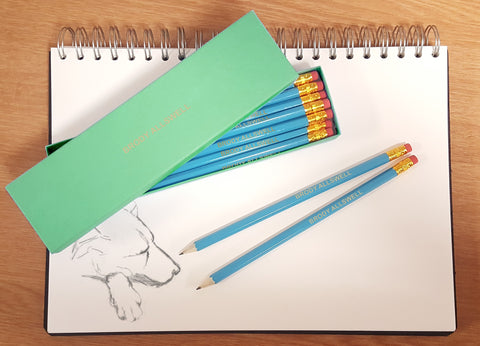 12 Aqua Pencils in an Aqua Box