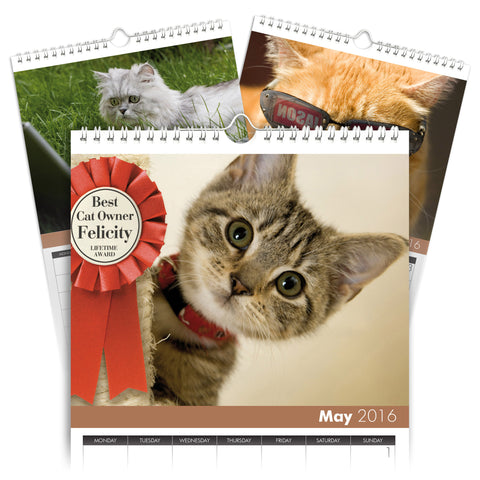 Cats A5 Calendar