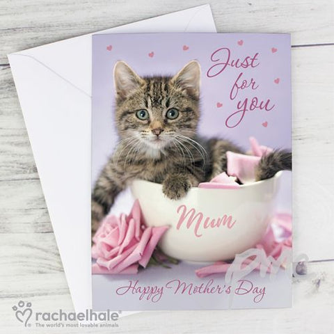 Rachael Hale 'Just for You' Kitten Card
