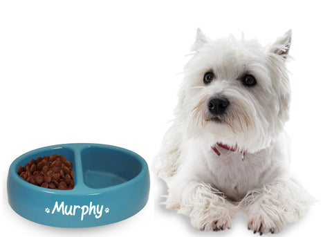 Oval Double Feeding Bowl Blue