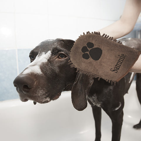 Micro Fibre Pet Mitt