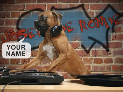 DJ Dog - A4 Black Frame
