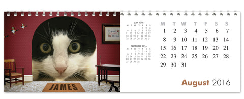 Cats Desktop Calendar
