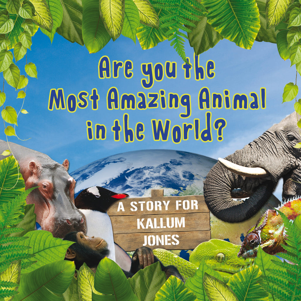 Most Amazing Animal - Hardback