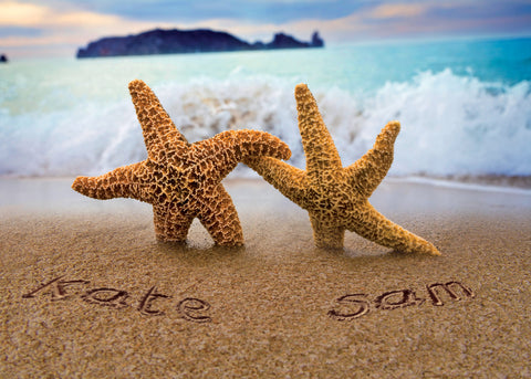 Starfish on Beach - A3 Black Frame
