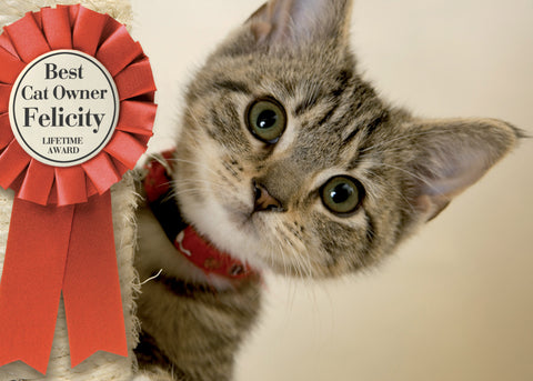 Best Cat Owner - A3 Black Frame