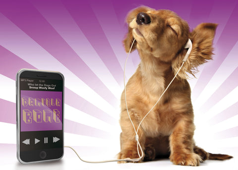 Music Dog - A3 Black Frame