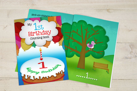 My 1st Birthday Counting Book - Softback